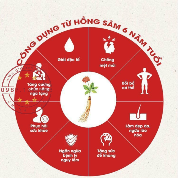 Nuoc uong hong sam Power Hop 30 goi GinGins5
