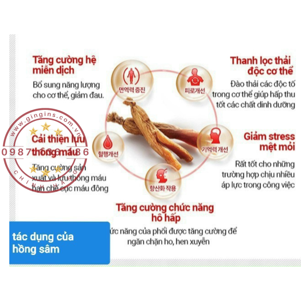 Nuoc uong hong sam nguyen chat BIO GinGins3