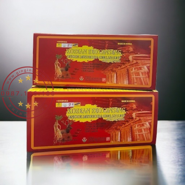 Vien sam nhung linh chi bio 120 vien GinGins