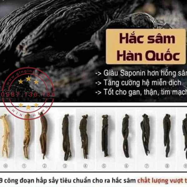Nuoc hac sam bio GinGins3