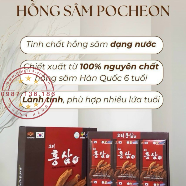 Nuoc hong sam 30 goi pocheon GinGins3